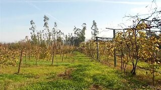 Land for sale in Guimarães, Portugal — €500,000