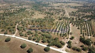 Terreno em Mora