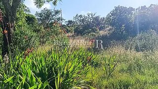 Land for sale in Aljezur, Portugal — €35,000
