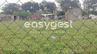 Land for sale in Ferreira do Alentejo, Portugal — €130,000