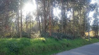 Land for sale in Águeda, Portugal — €85,000