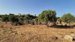 Terreno de 10 052 m² em Faro