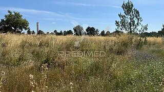 Terreno em Montijo