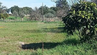 Land for sale in Castelo Branco, Portugal — €18,500