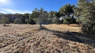Land for sale in Penamacor, Portugal — €3,950
