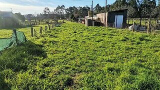 Land for sale in Guimarães, Portugal — €60,000