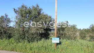 Land for sale in Tomar, Portugal — €25,000