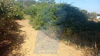 Land for sale in Águeda, Portugal — €10,000