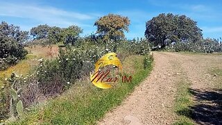 Land for sale in Castro Marim, Portugal — €24,000