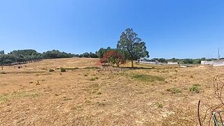 Land for sale in Cartaxo, Portugal — €250,000