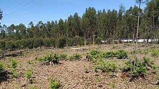 Land for sale in Marinha Grande, Portugal — €76,000