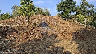 Terreno em Fafe · 974 m² · 55 000 €