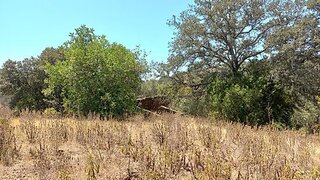 Land for sale in Tavira, Portugal — €100,000