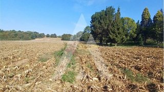Land for sale in Águeda, Portugal — €385,000