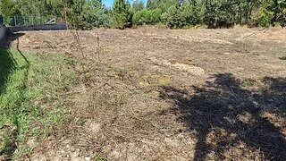 Terreno de 1230 m² em Leiria