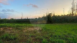 Land for sale in Águeda, Portugal — €25,000