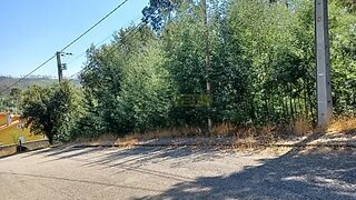 Land for sale in Sever do Vouga, Portugal — €38,000