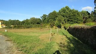 Land for sale in Caminha, Portugal — €65,000