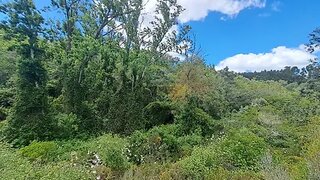 Land for sale in Ourique, Portugal — €65,000