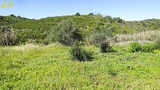 Terreno · 620 m² · 4500 €