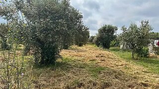Land for sale in Abrantes, Portugal — €55,000