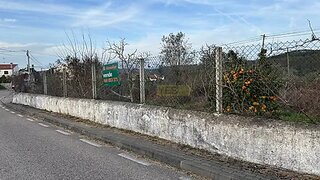Land for sale in Abrantes, Portugal — €20,000