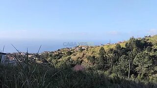 Land for sale in Ponta do Sol, Portugal — €40,000