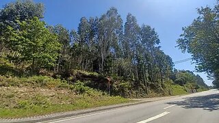 Land for sale in Sever do Vouga, Portugal — €22,500