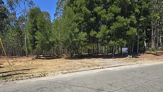 Land for sale in Estarreja, Portugal — €59,000