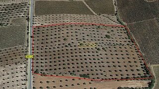 Land for sale in Reguengos de Monsaraz, Portugal — €69,000