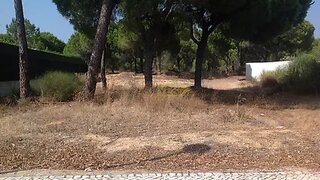 Terreno · 805 m² · 1 975 000 €