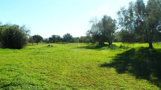 Land for sale in Silves, Portugal — €170,000