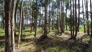 Land for sale in Sintra, Portugal — €95,000