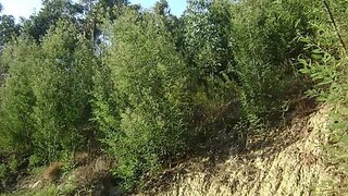 Terreno · 30 000 m² · 100 000 €