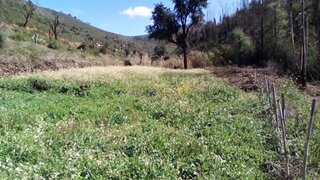 Land for sale in Monchique, Portugal — €19,700