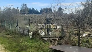 Land for sale in Palmela, Portugal — €80,000