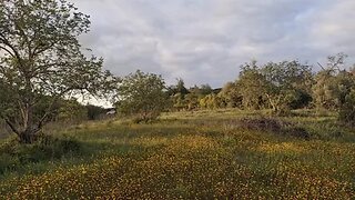 Land for sale in Loulé, Portugal — €114,000