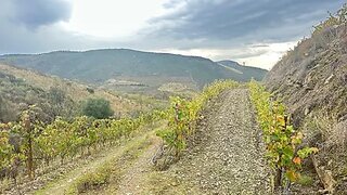 Land for sale in Freixo de Espada à Cinta, Portugal — €76,000