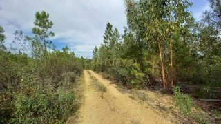 Land for sale in Castelo Branco, Portugal — €7,500