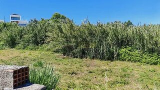 Land for sale in Torres Novas, Portugal — €34,000