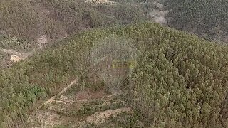 Terreno · 11 116 m² · 15 000 €