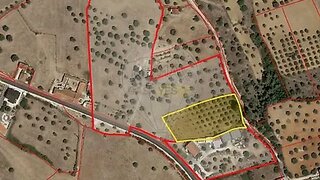Terreno em Alcanena · 3450 m² · 52 000 €