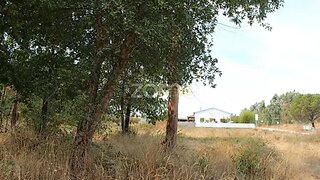 Land for sale in Seia, Portugal — €82,450
