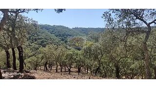 Land for sale in Grândola, Portugal — €170,000