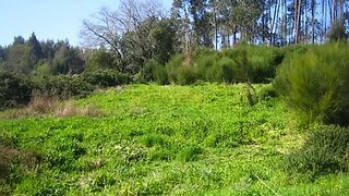 Land for sale in Albergaria-a-Velha, Portugal — €22,500