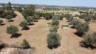 Land for sale in Reguengos de Monsaraz, Portugal — €400,000