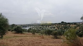 Land for sale in Avis, Portugal — €97,000