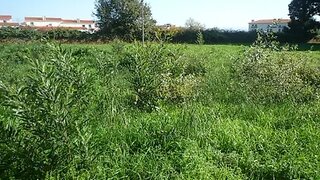 Terreno para venda em Albergaria-a-Velha, Portugal — 143 500 €