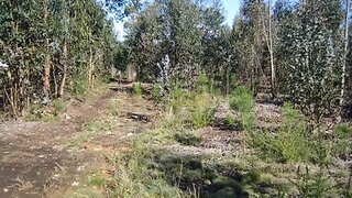 Land for sale in Águeda, Portugal — €150,000