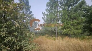 Terreno em Manteigas